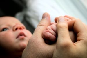 1111670_little_baby_hands_with_mom_and_dads_hands_1.jpg