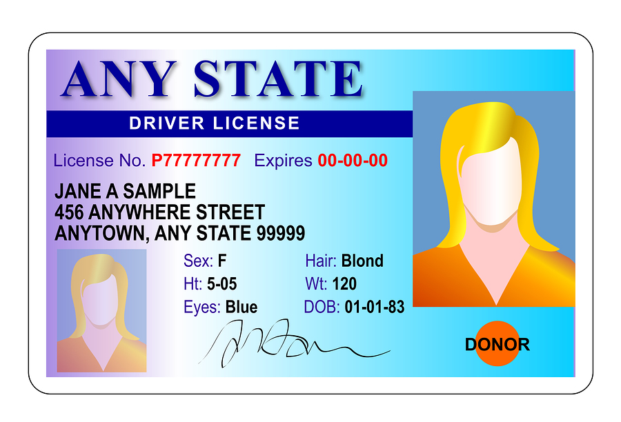Divorce License Florida