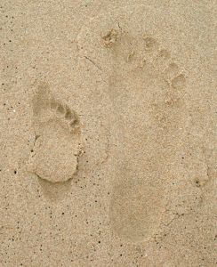 1053161_footprints.jpg