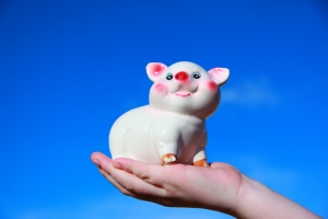 1331143_piggy_bank.jpg