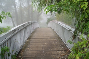 1356646_romantic_bridge_in_the_fog.jpg