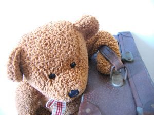 363466_more_travel_teddies_series_n