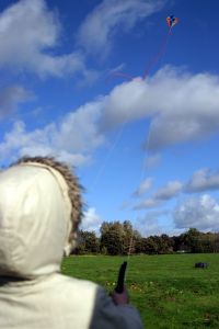 897653_kite_flying___.jpg