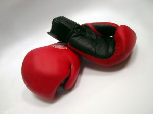 boxing%20gloves.jpg